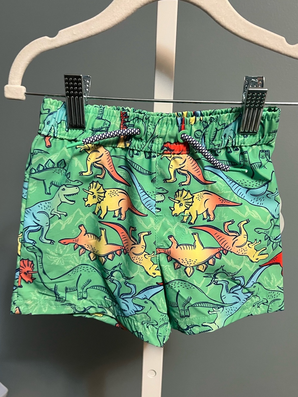 Wonder Nation Green Dinosaur Print Swim Trunks NWT 12 months